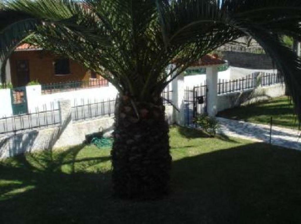Hotel Vivenda Atlantico à Vila Praia de Âncora Extérieur photo